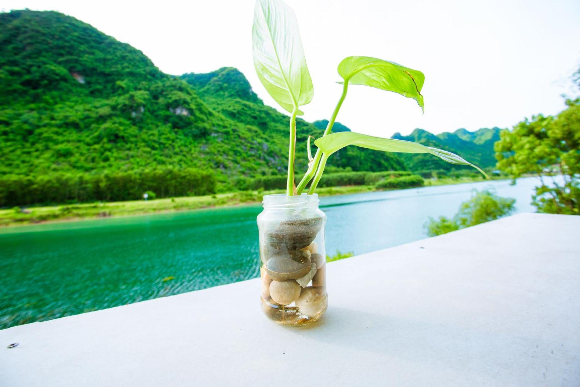 Phong Nha A Little Leaf Homestay Eksteriør billede