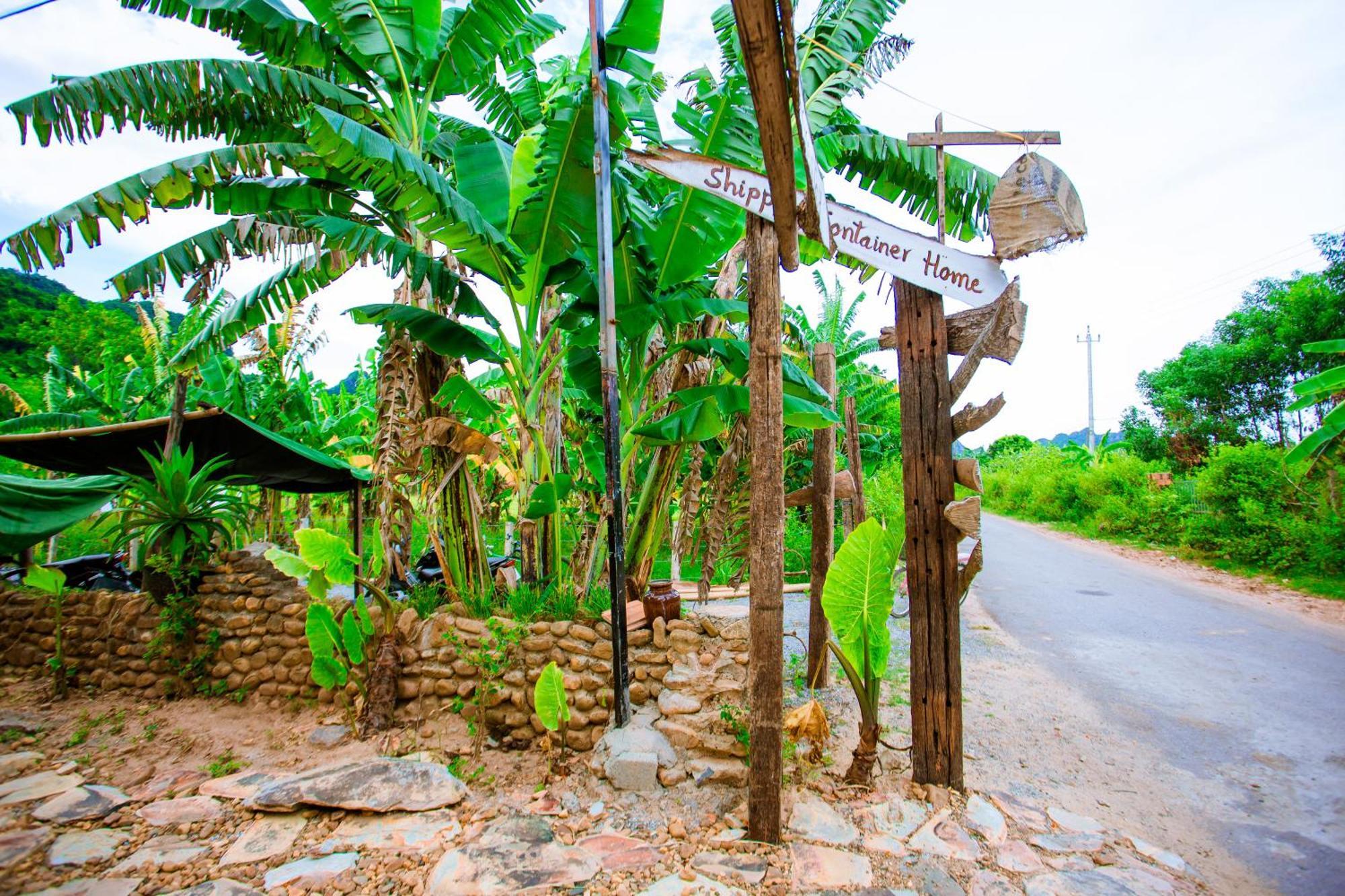 Phong Nha A Little Leaf Homestay Eksteriør billede