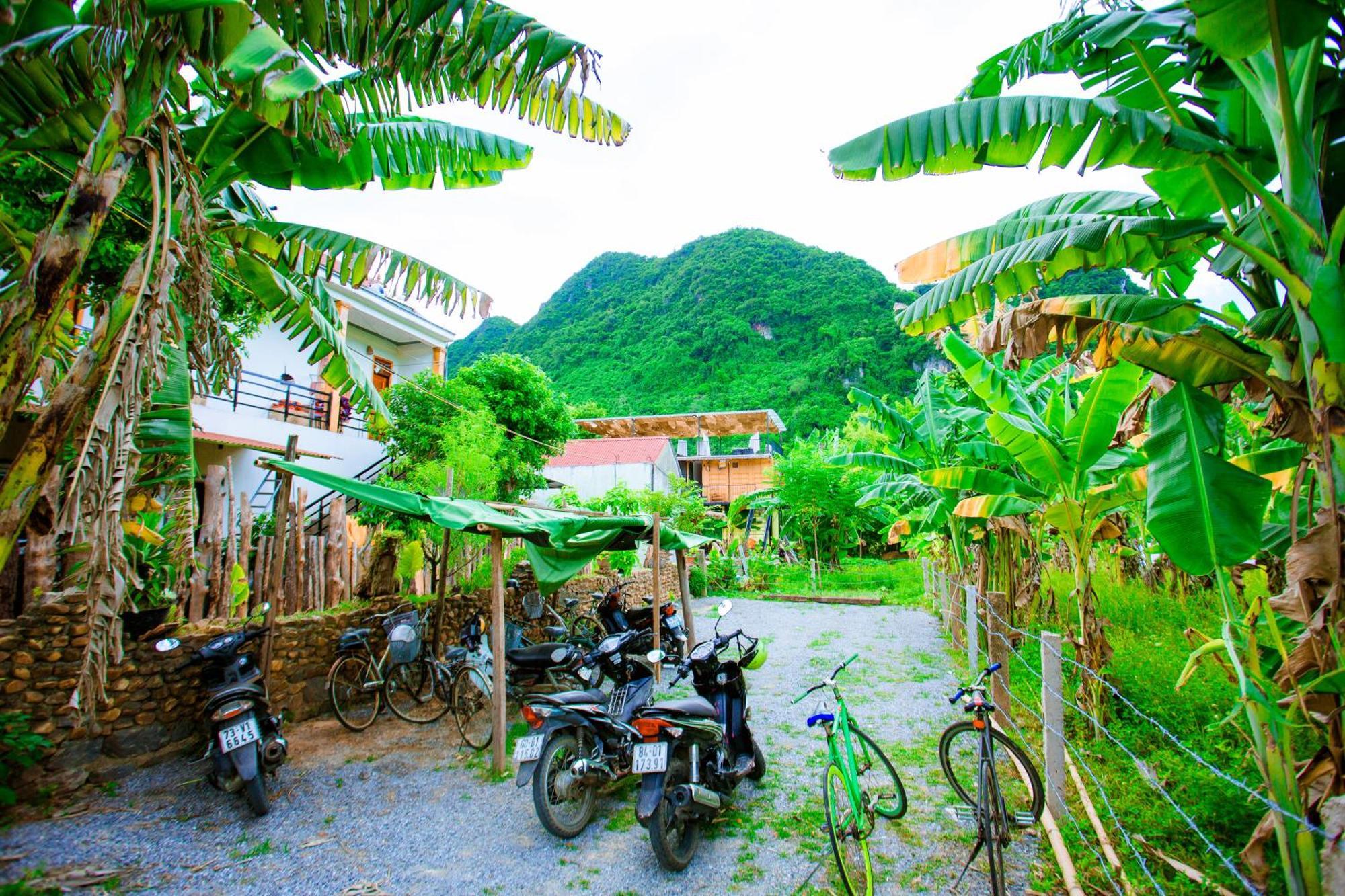 Phong Nha A Little Leaf Homestay Eksteriør billede